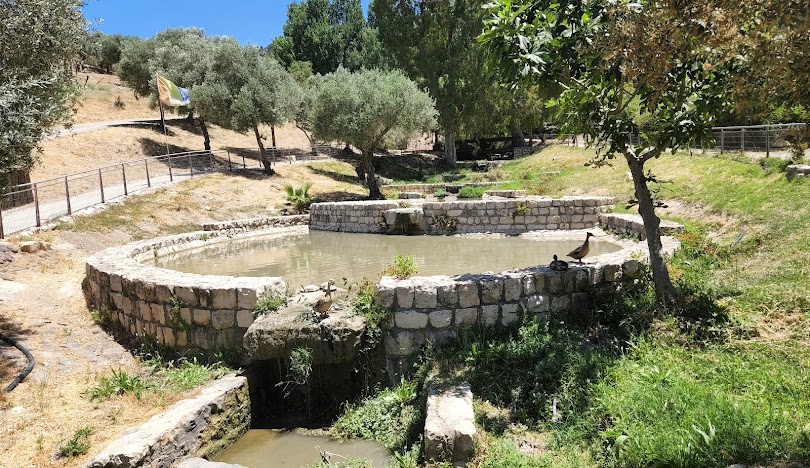 صفد | موسوعة القرى الفلسطينية